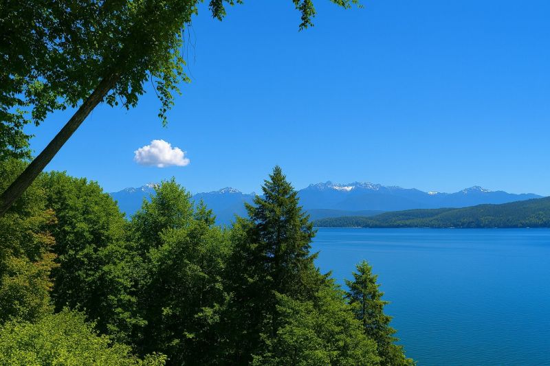 Best Shower Installation pros in Olympia, WA